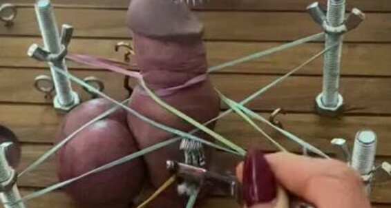 Ladydarkangeluk Onlyfans Cock Trapped And Tickled With Spikes Missing My Bestie Miss Courtney Loads Can T Wait For Dec