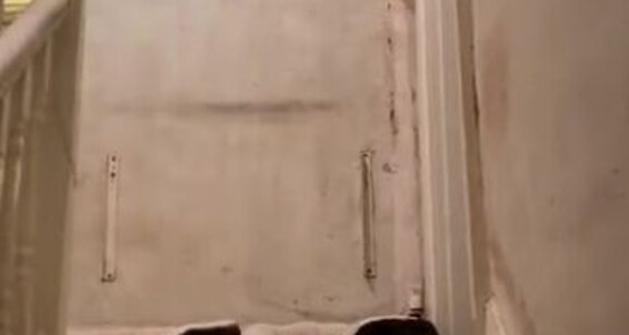 Ladydarkangeluk Onlyfans Current State Of My Stairs And Landing At Home